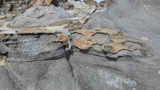 2024-11-GranCan-Playa_de_El_Puertillo-033.jpg